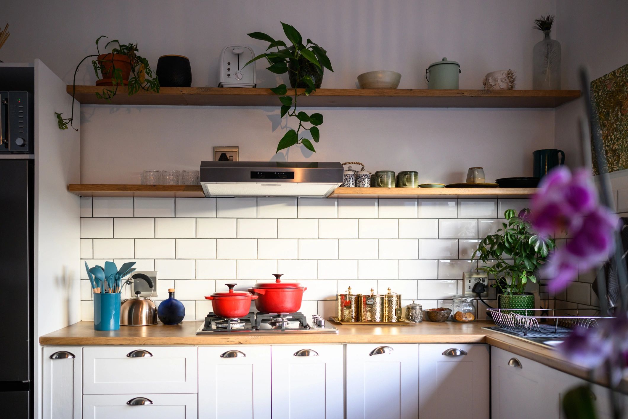 Modern kitchen with a gas stove and red cookware