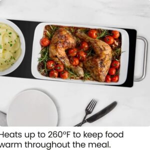 TH-0602#  Electric Warming Tray